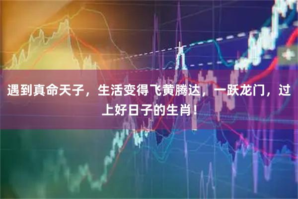 遇到真命天子，生活变得飞黄腾达，一跃龙门，过上好日子的生肖！