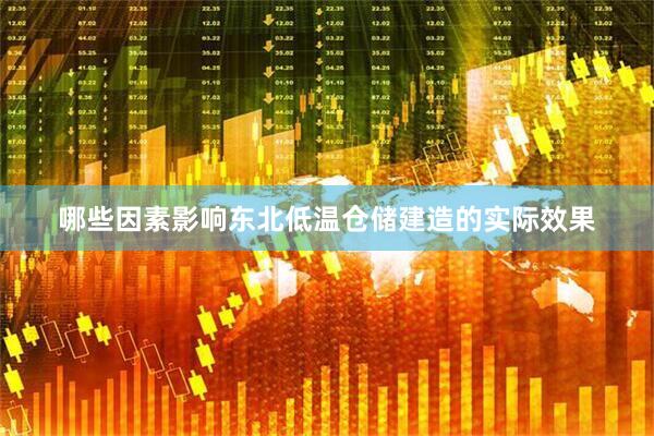 哪些因素影响东北低温仓储建造的实际效果