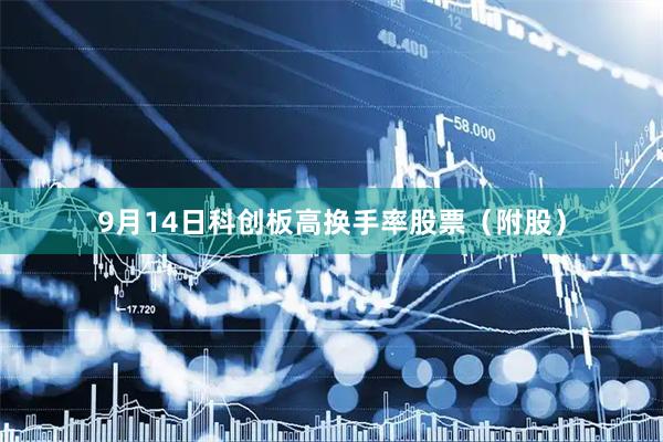 9月14日科创板高换手率股票（附股）