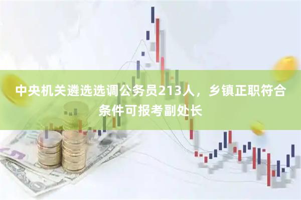 中央机关遴选选调公务员213人，乡镇正职符合条件可报考副处长